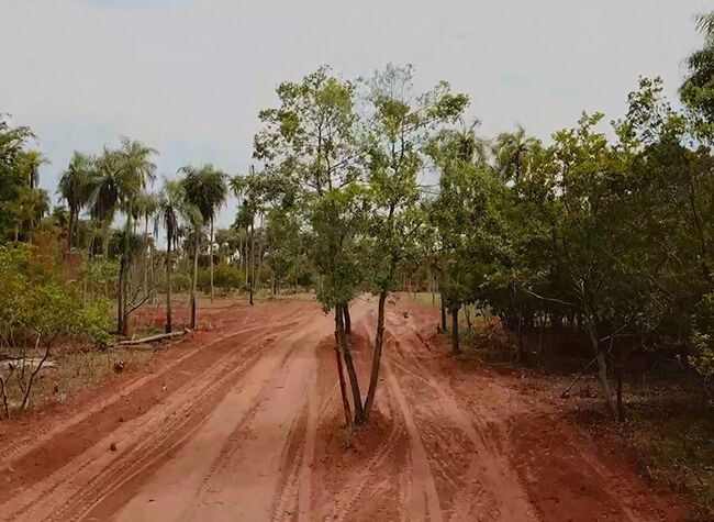 Los Frutales Felder S.A.